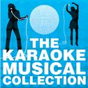 The Karaoke Musical Collection, Vol. 1