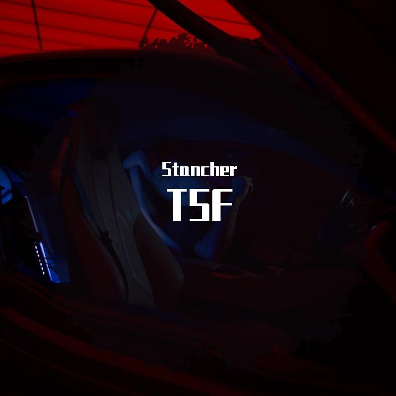 TIANSHAGNFEI Stancher Bootleg
