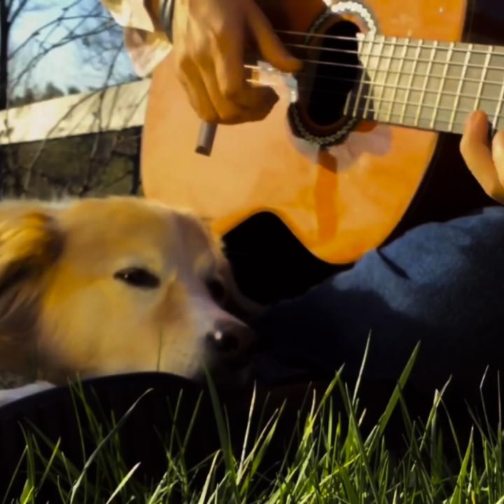 【指弹吉他】Passion Pit「Take a Walk ft」