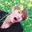 -THEV-
