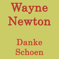 Danke Schoen - Wayne Newton (karaoke)