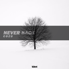 NEVER BACK