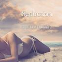 Seduction - Chill Out Dreams Vol 2专辑