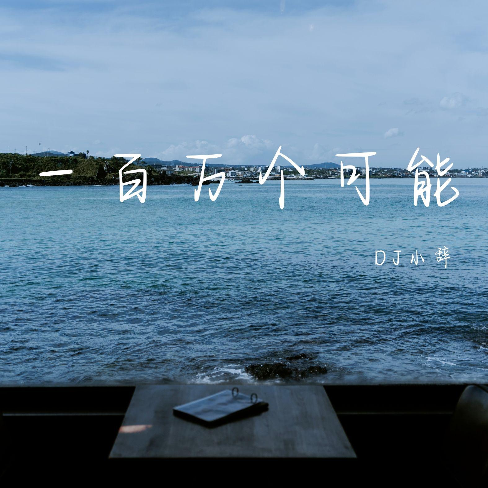 一百万个可能