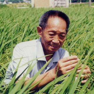 【纪念】永远的袁隆平