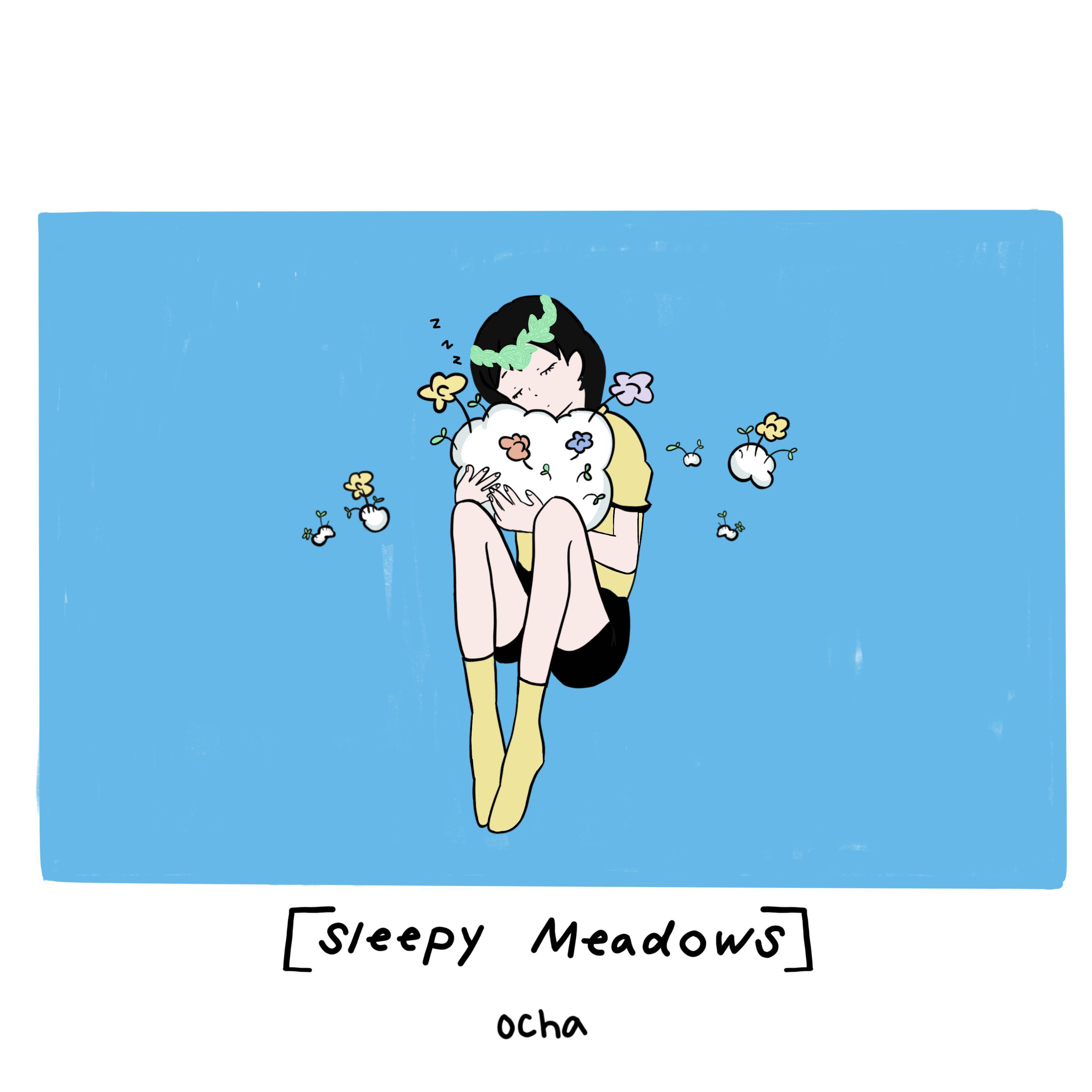 [sleepy meadows]专辑