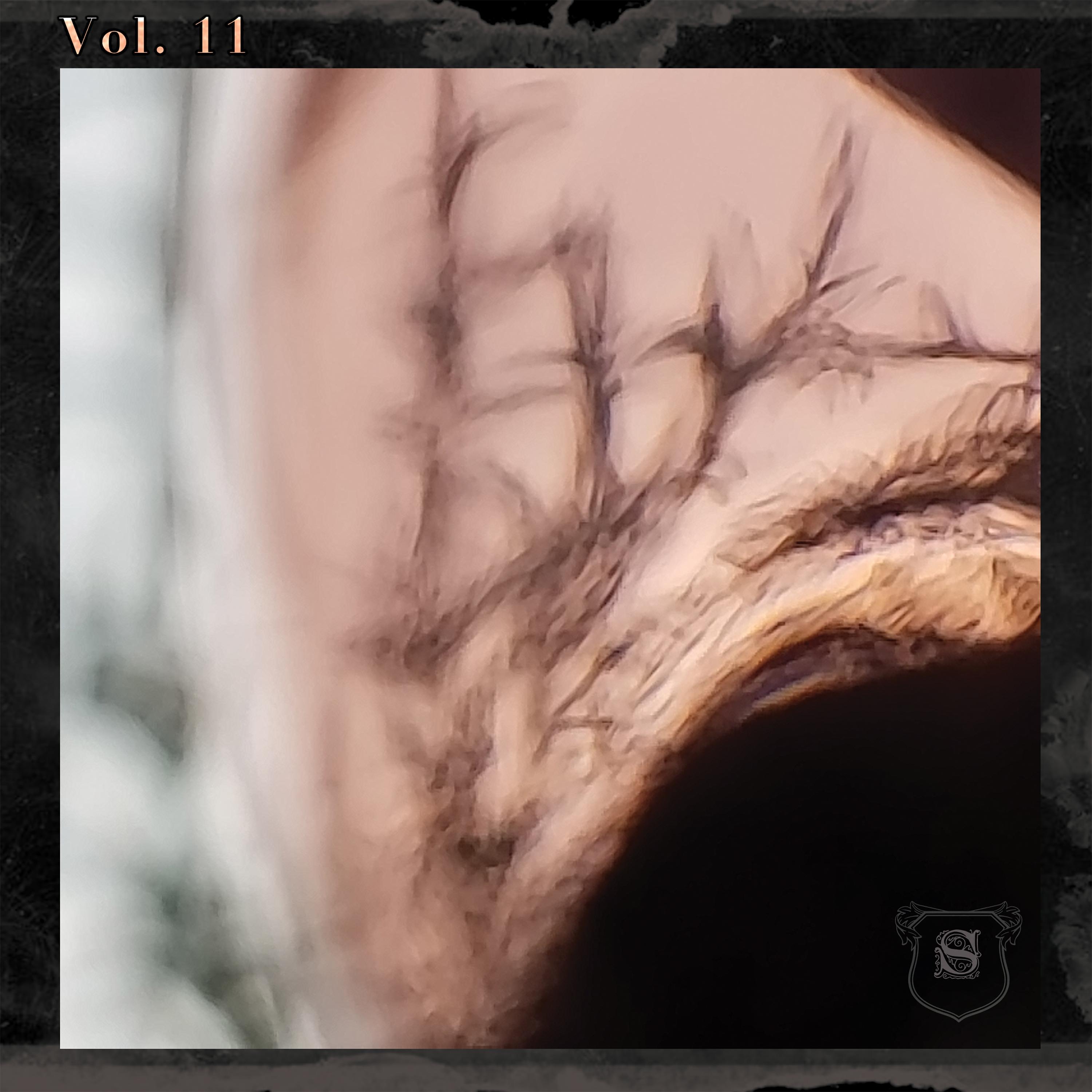 the unseen snowflakes