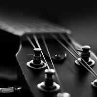 Liar Lubbers - 小镇做题家