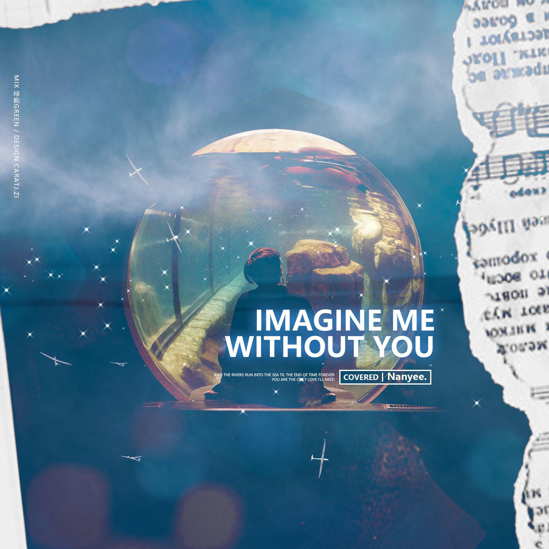 Imagine Me Without You