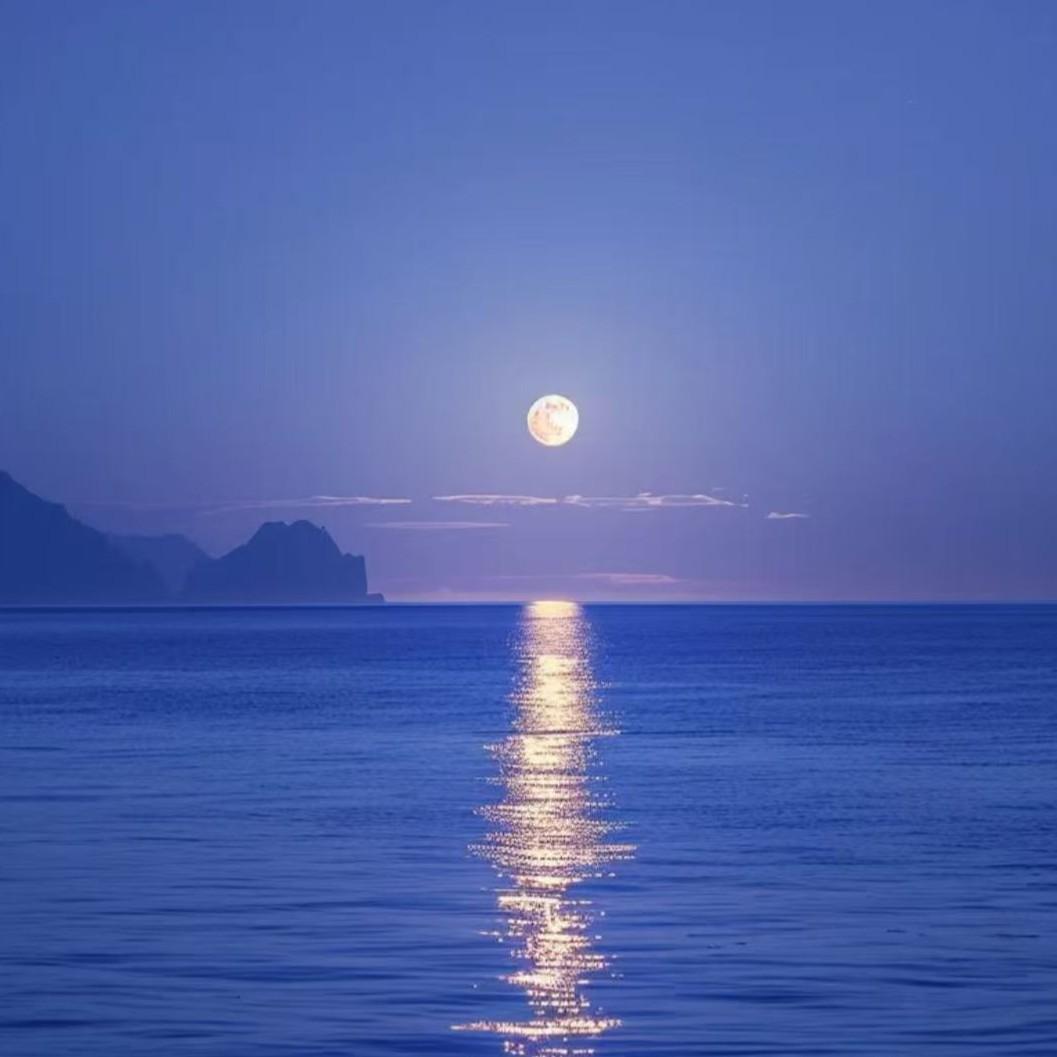 白月光与朱砂痣 大籽