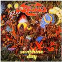 Sunshine Day - The Pye/Bronze Anthology专辑