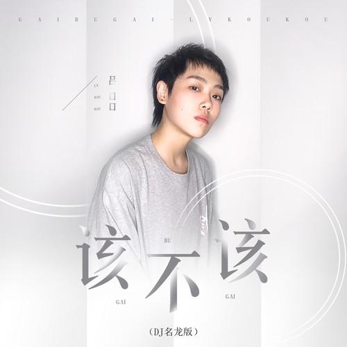 该不该 (DJ名龙版)