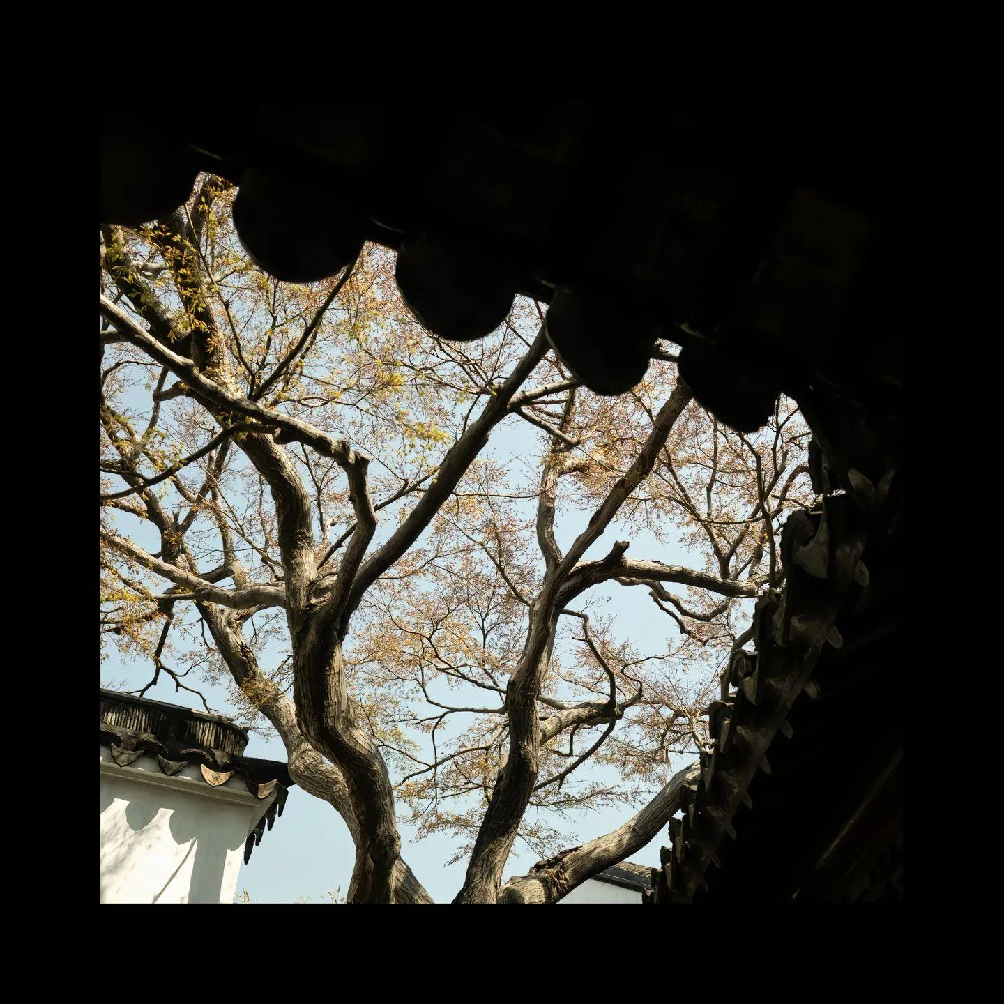 我想念（完整版）