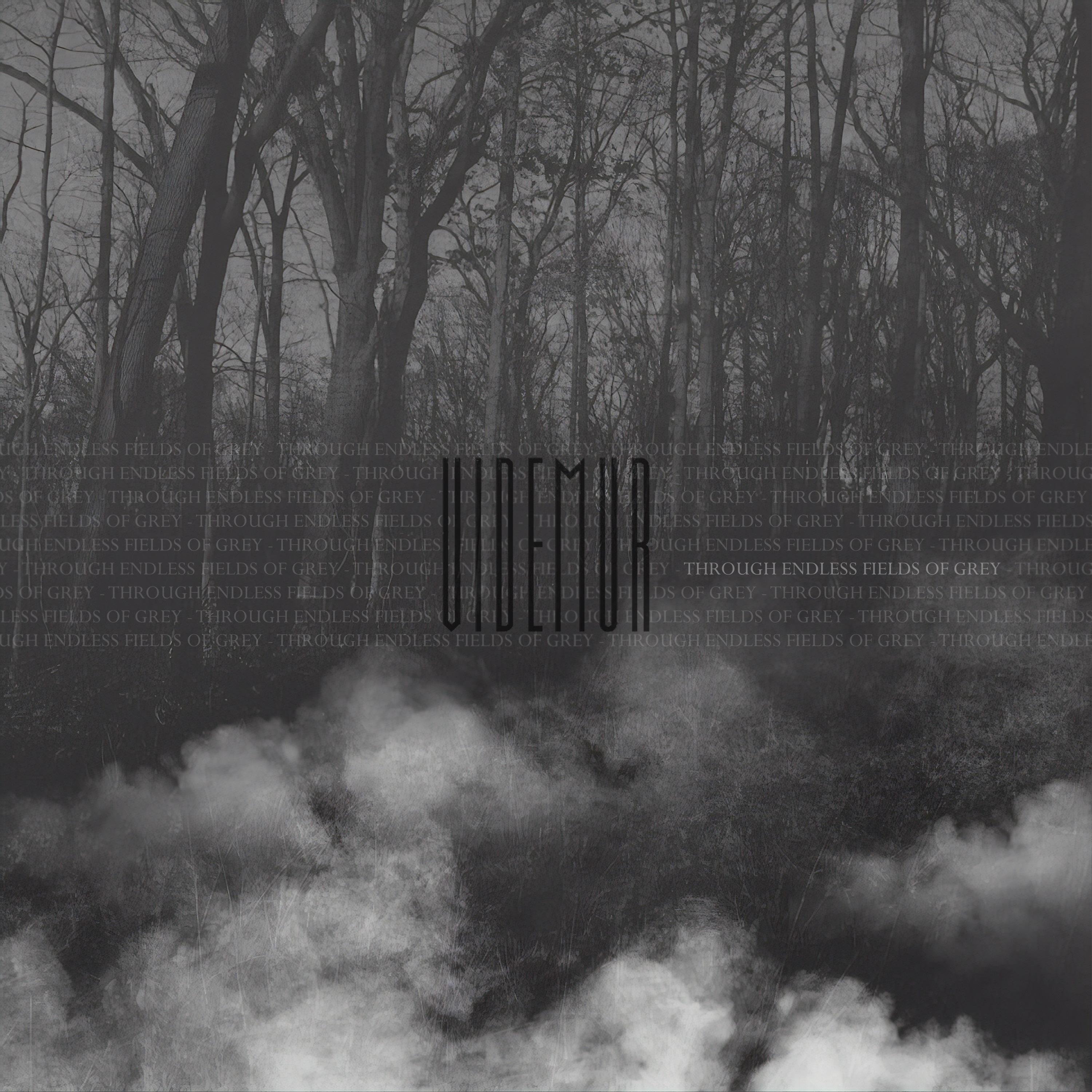 Through Endless Fields Of Grey