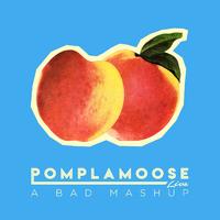 Pomplamoose - A Bad Mashup Bad Romance Bad Blood Bad Boys Bad (Karaoke Version) 带和声伴奏