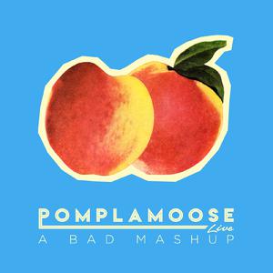 Pomplamoose - A Bad Mashup Bad Romance  Bad Blood  Bad Boys  Bad (Karaoke Version) 带和声伴奏