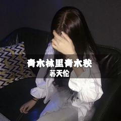 栀子花的思念(DJ)