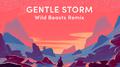 Gentle Storm (Wild Beasts Remix)专辑