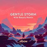 Gentle Storm (Wild Beasts Remix)专辑