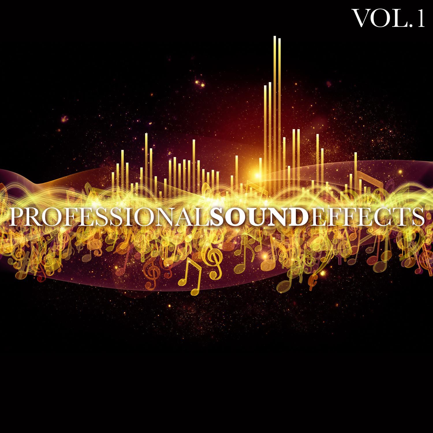 Professional Sound Effects Vol. 1