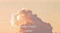 Golden Field专辑