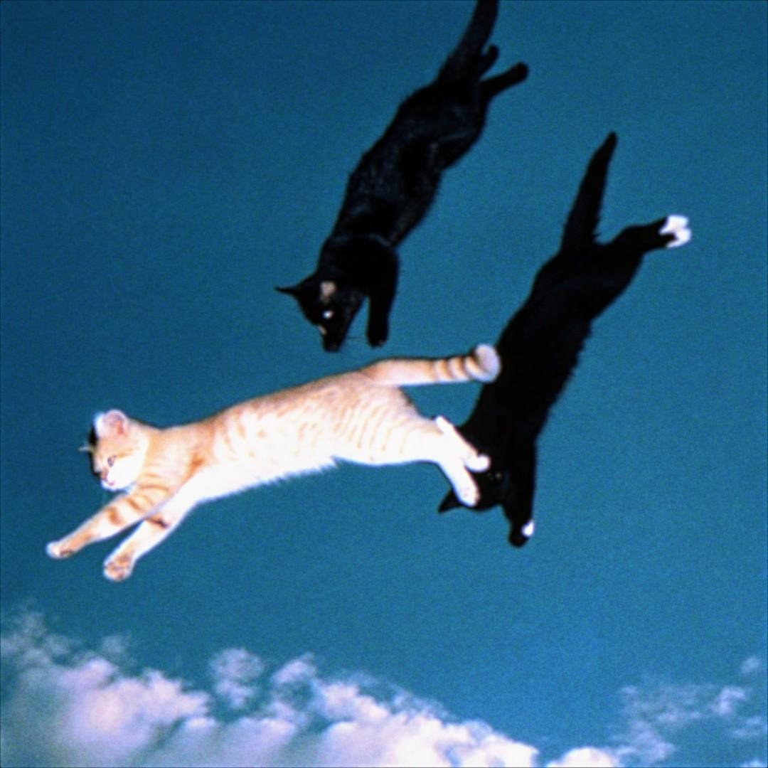 Falling