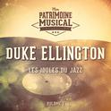 Les idoles du Jazz : Duke Ellington, Vol. 2专辑