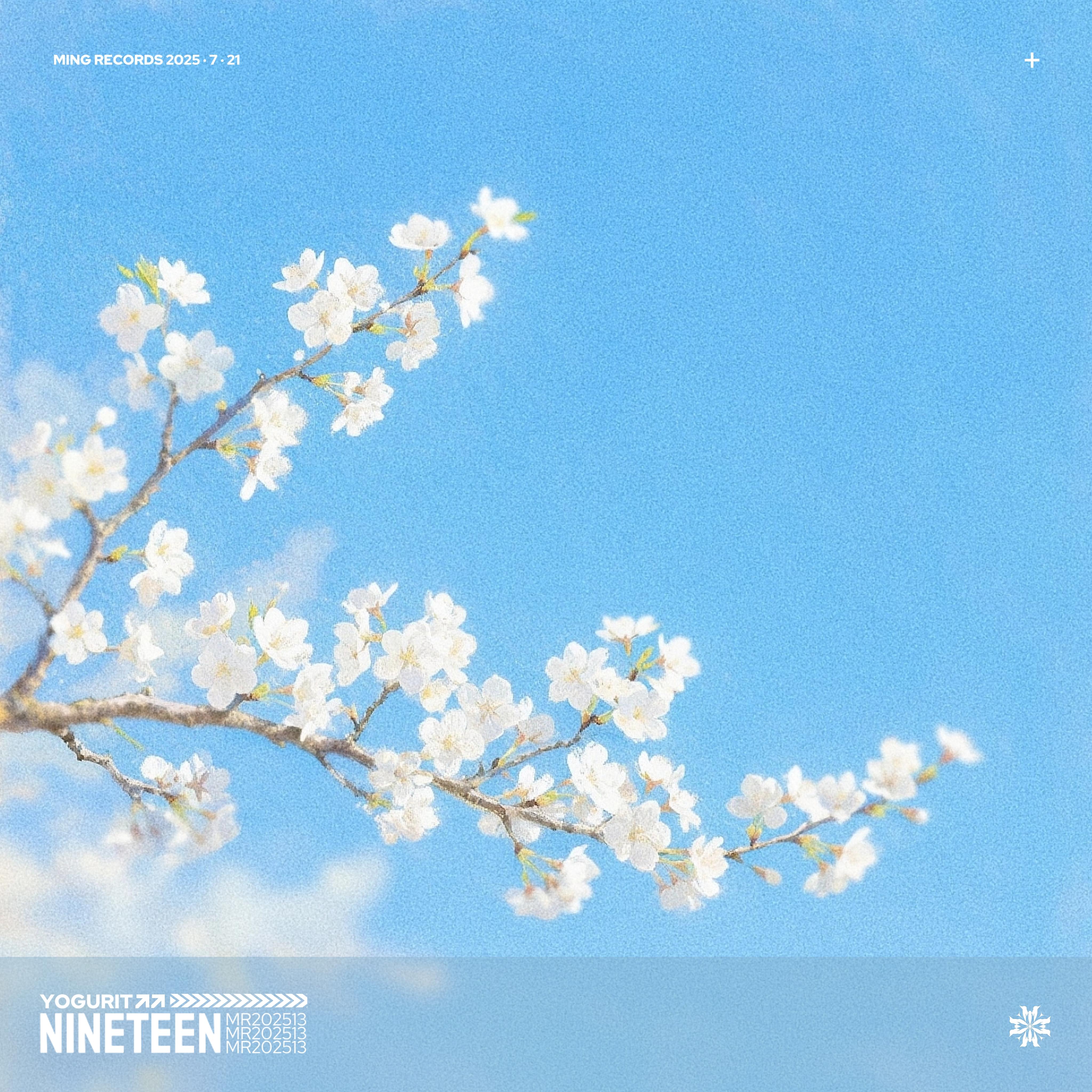 Nineteen