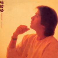 杨峻荣 - 寂寞的时候(原版伴奏)