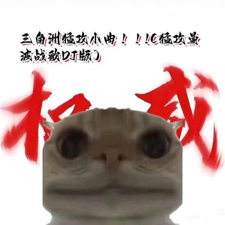 三角洲猛攻小曲！！!（猛攻曼波战歌DJ版）