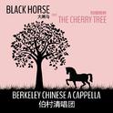 Black Horse and the Cherry Tree专辑