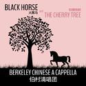 Black Horse and the Cherry Tree