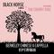 Black Horse and the Cherry Tree专辑