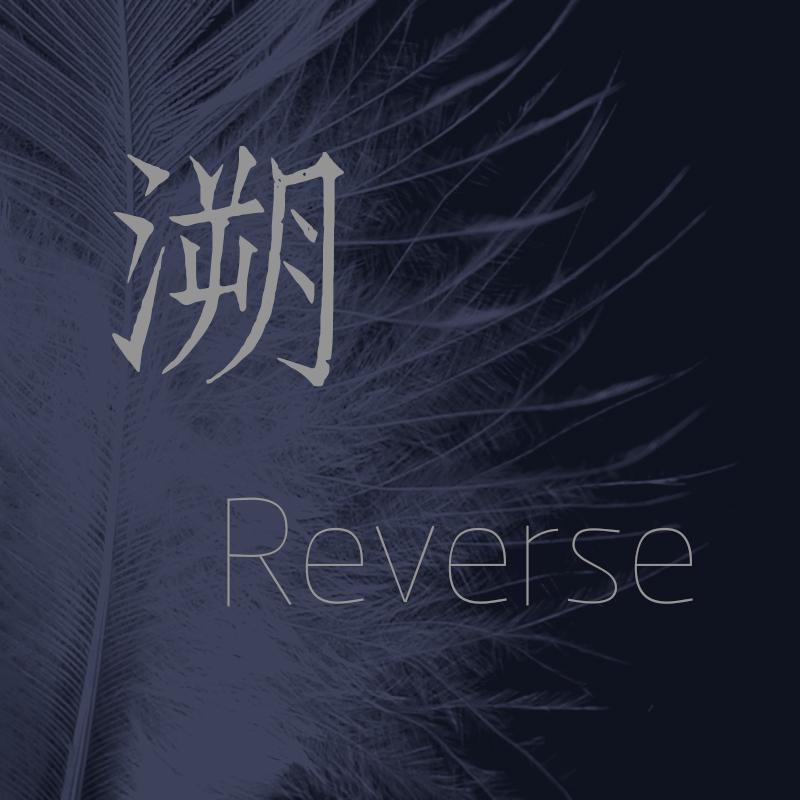 溯Reverse