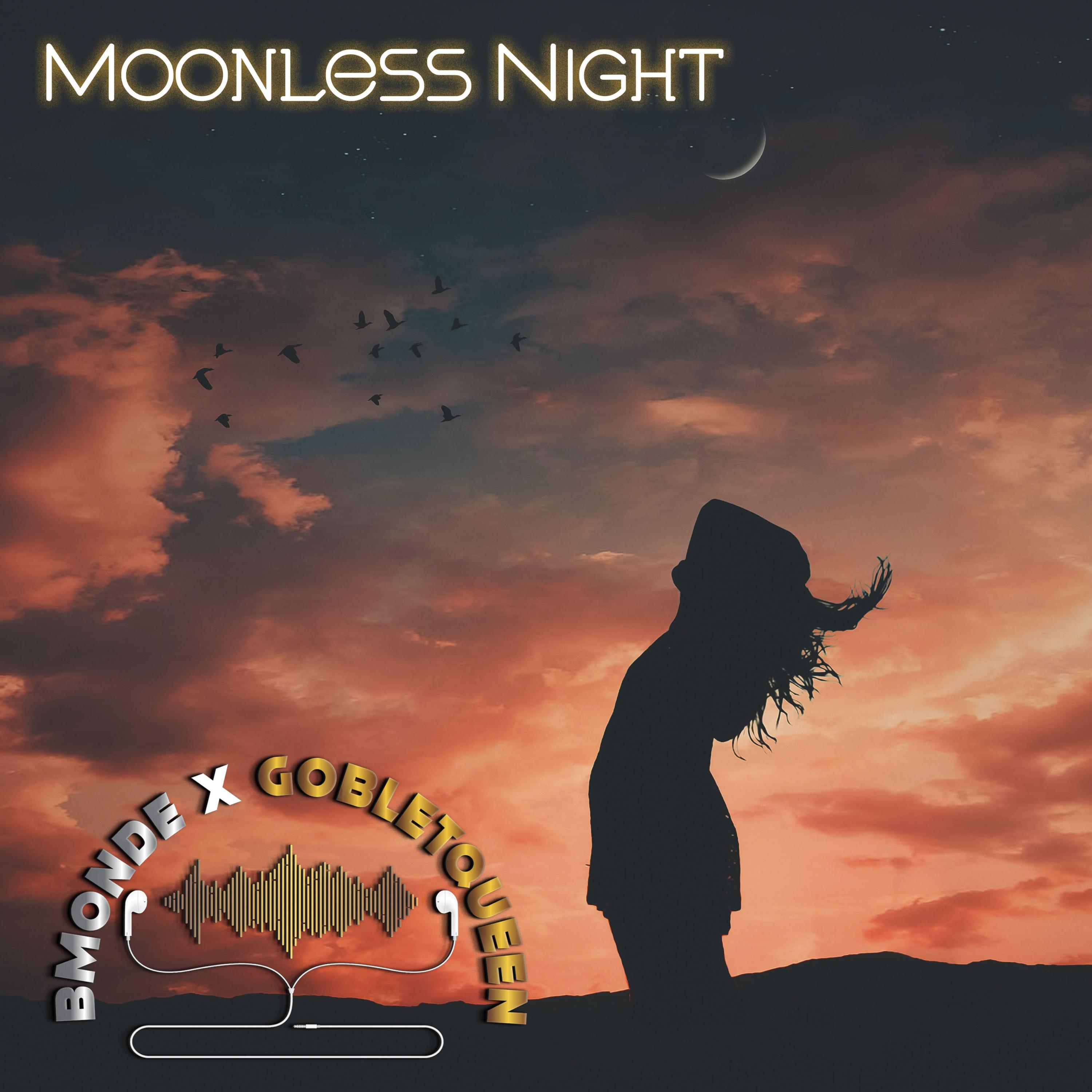 Moonless Night(DJ Ryan Rewrok)