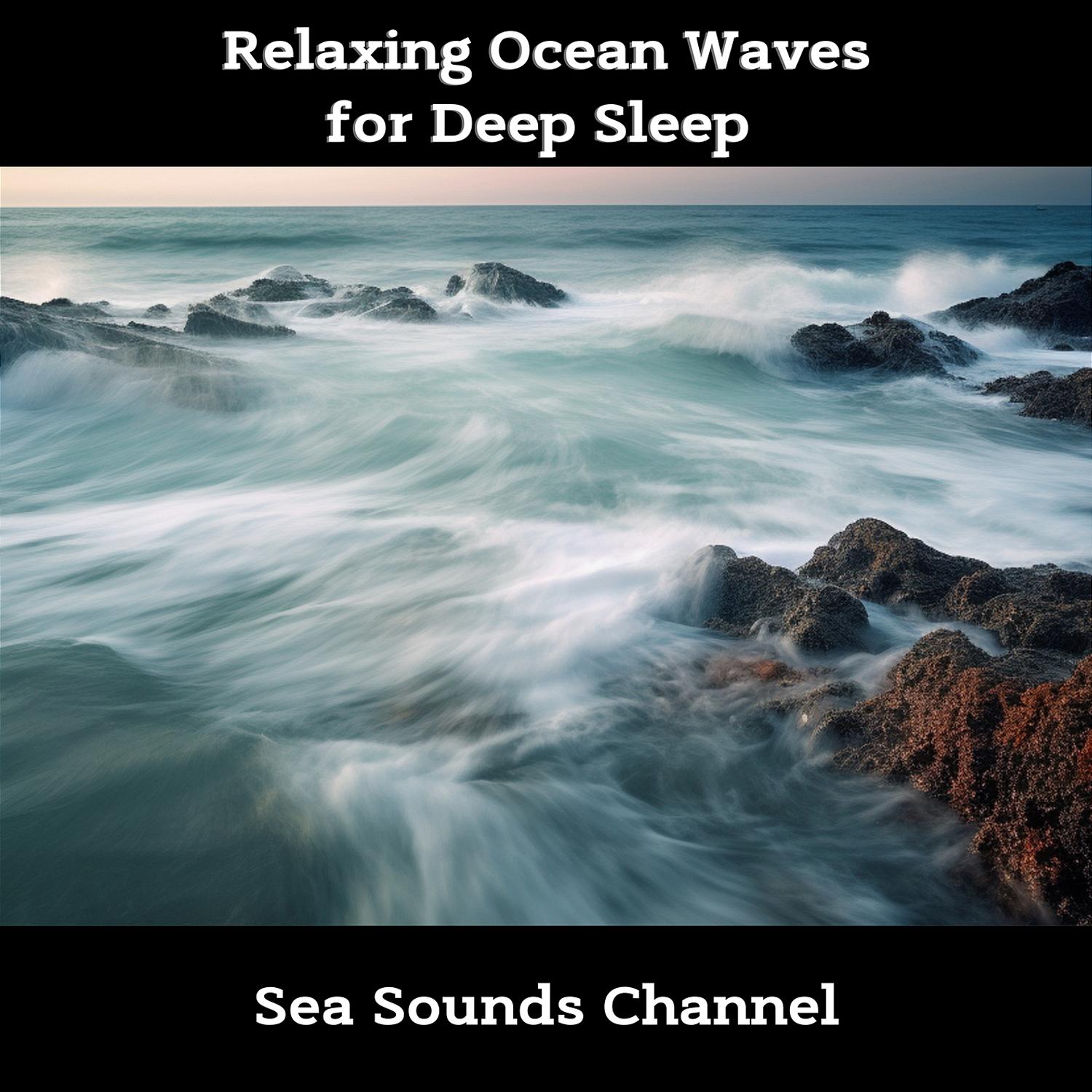 Sea Sounds Channel - Walking at Low Tide