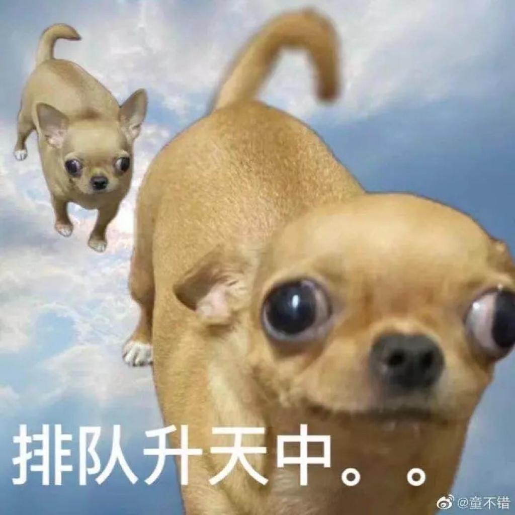 百听不厌的神仙歌曲