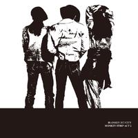 Blankey Jet City - D.I.J.のピストル (Live at 川崎クラブチッタ / 1994)