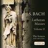Mass in G Major, BWV 236: Domine Deus