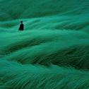 “身处旷野，任何方向都是前方”