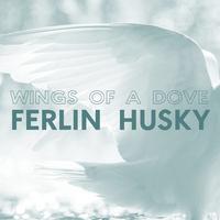 Ferlin Husky - I Really Don t Want To Know (karaoke)