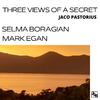 Mark Egan - Three Views of a Secret