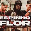 DJ KN DE VILA VELHA - Espinho da Flor (feat. Mc Romeu)