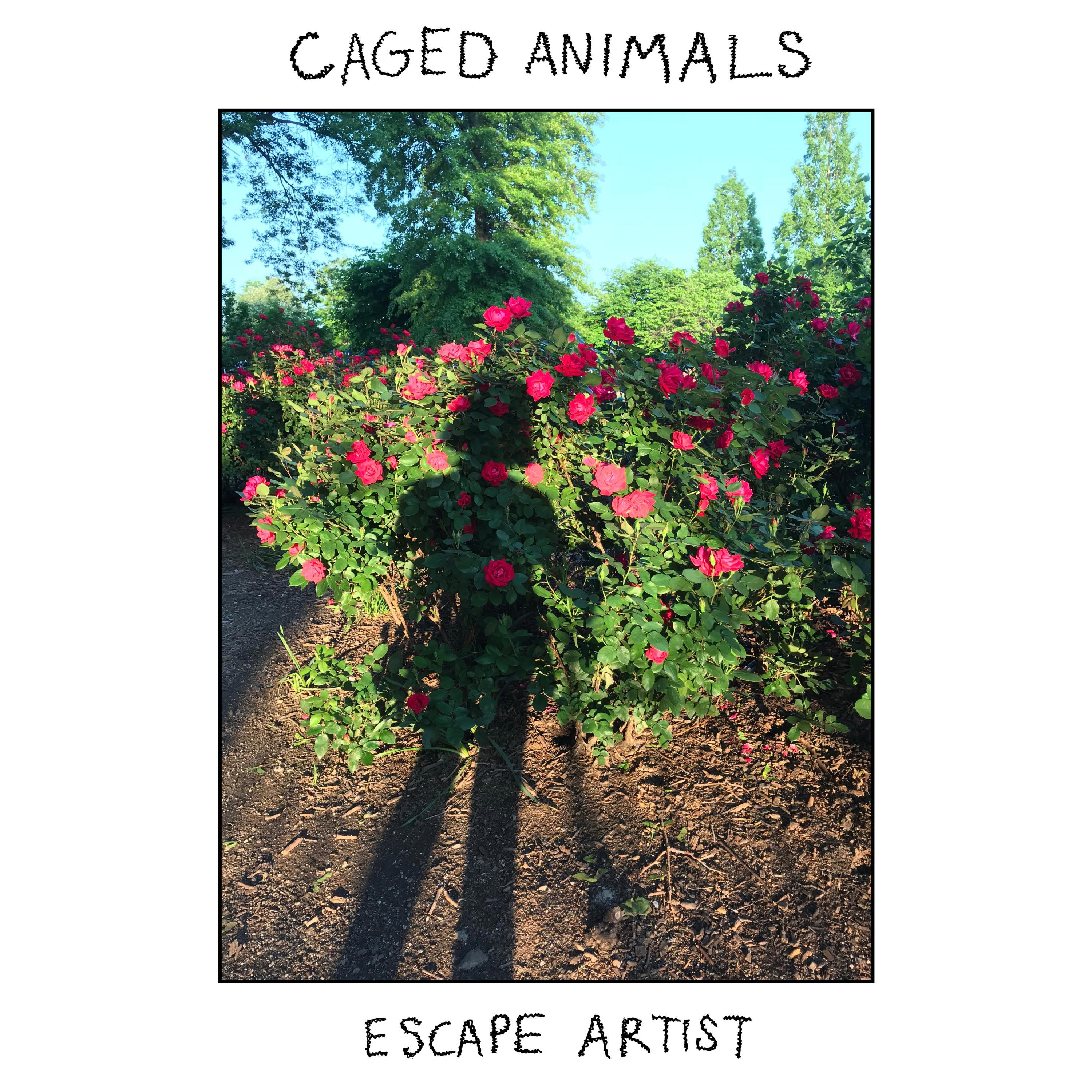 Escape Artist