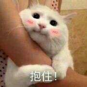 关于叶琛♡