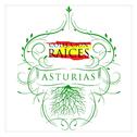 Colección Raíces - Asturias专辑