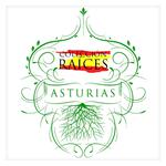 Colección Raíces - Asturias专辑