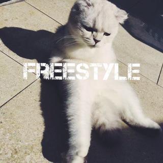 我觉得 | 你会喜欢的「rap」
