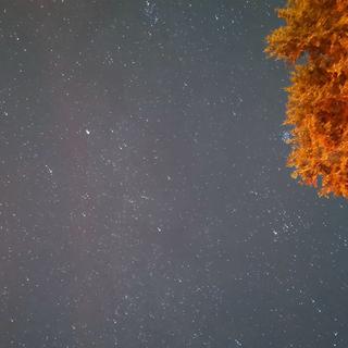 月明星稀 | 深夜听歌精选