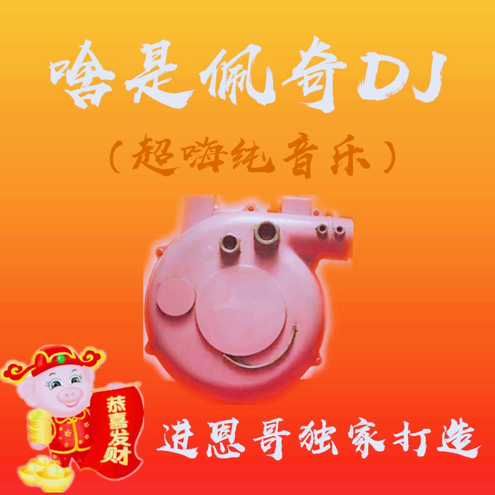 啥是佩奇DJ专辑